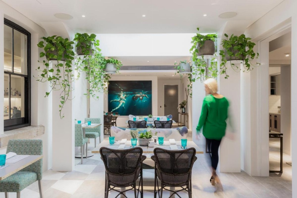 Spicers Potts Point Image 26