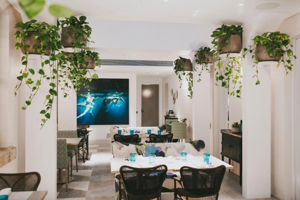 Spicers Potts Point Image 30