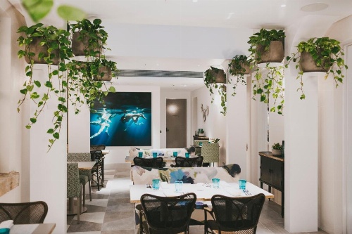 Spicers Potts Point image 30